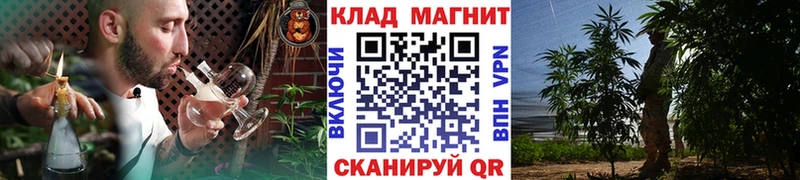 Магазины продажи наркотиков Севск СК  Меф  Псилоцибиновые грибы  Cocaine  Конопля 
