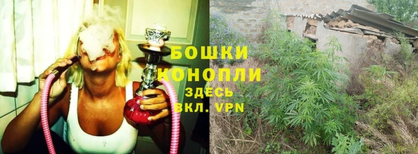 мяу мяу мука Белокуриха